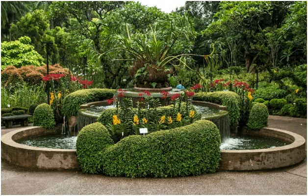 Сингапурский ботанический сад фото