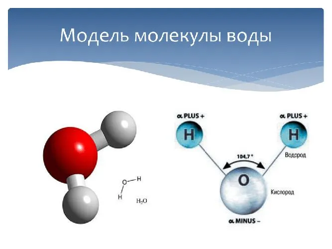 Модель молекулы воды