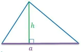 Площадь (математика, 5 класс) – что такое, правило обозначения и понятие
