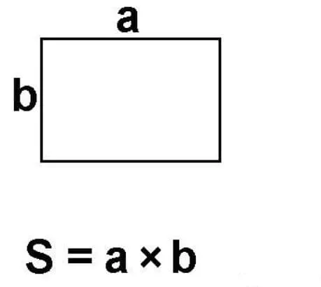 Площадь (математика, 5 класс) – что такое, правило обозначения и понятие