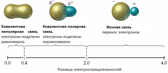 gradation of polar bond