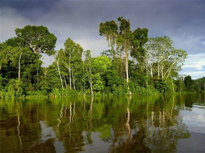 Река Амазонка - описание, характеристика положения и особенности хозяйственного использования