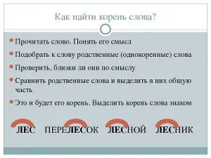 Что такое корень в русском языке
