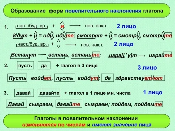 Определяем лицо глагола в русском языке по таблице