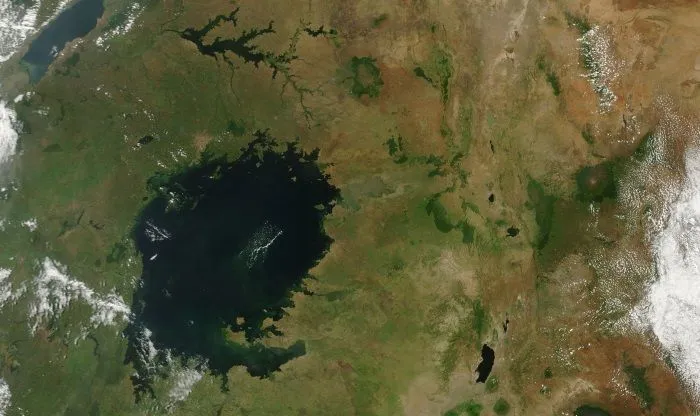 Озеро Виктория, вид из космоса