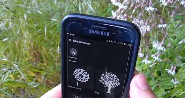 Фото телефона на фоне растений