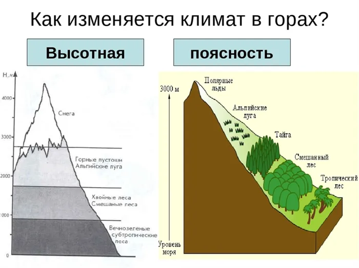 Факторы, влияющие на виды и количество поясов в разных горных массивах