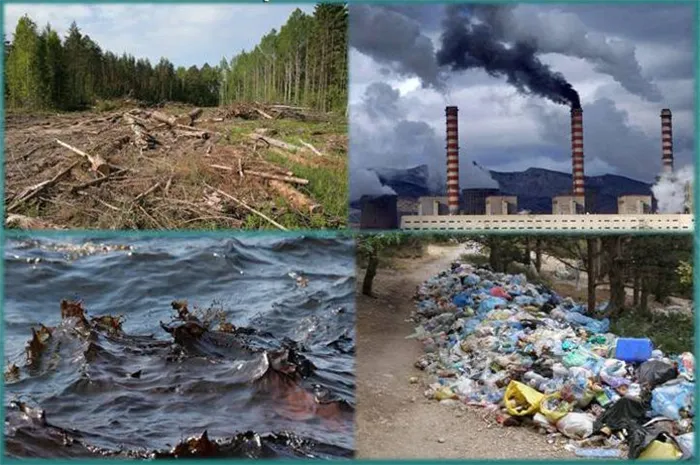 Проблемы экологии в России