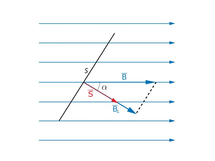 Вектор B - это проекция вектора B на направление вектора S