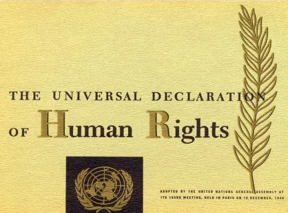 1.1 Права человека
